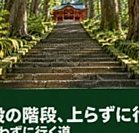 杉の大木に囲まれた箱根神社の正参道の石段を下から見上げた景色