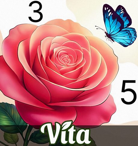 Vita Color for Seniors