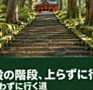 杉の大木に囲まれた箱根神社の正参道の石段を下から見上げた景色